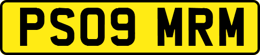PS09MRM