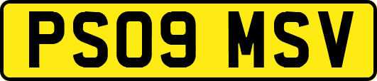 PS09MSV