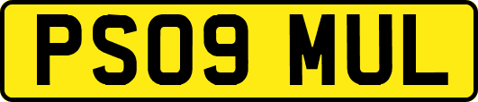 PS09MUL
