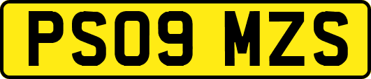 PS09MZS