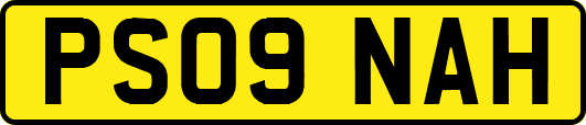 PS09NAH