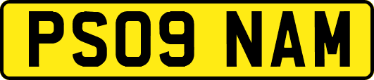 PS09NAM