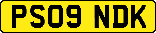 PS09NDK