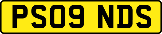 PS09NDS