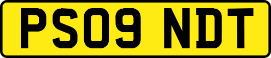 PS09NDT