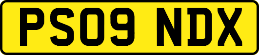 PS09NDX