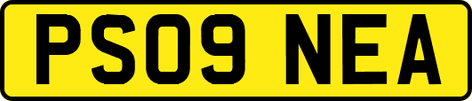 PS09NEA