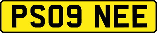 PS09NEE