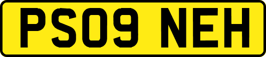 PS09NEH