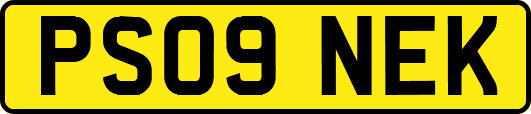 PS09NEK