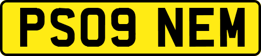 PS09NEM