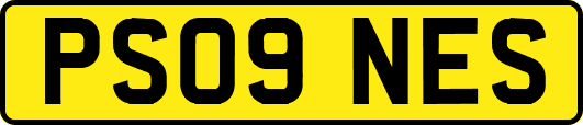 PS09NES