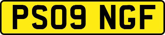 PS09NGF