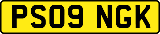 PS09NGK