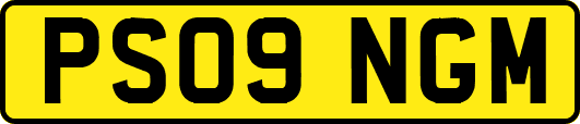 PS09NGM