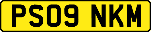 PS09NKM