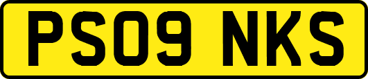 PS09NKS
