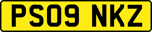 PS09NKZ