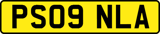 PS09NLA