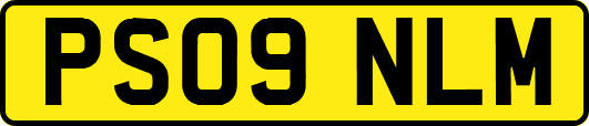 PS09NLM