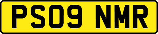 PS09NMR