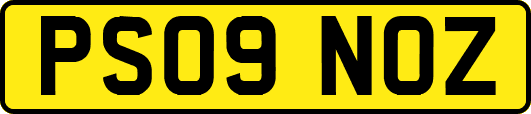 PS09NOZ