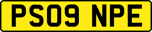 PS09NPE