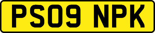 PS09NPK