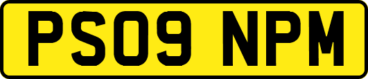 PS09NPM
