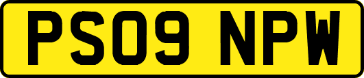 PS09NPW