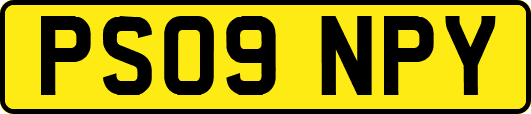 PS09NPY