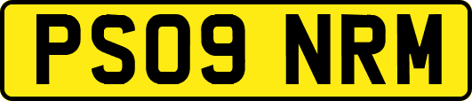 PS09NRM