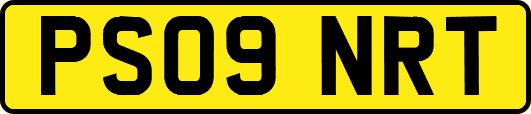 PS09NRT