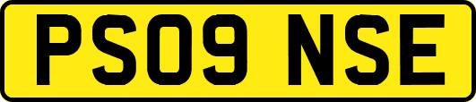 PS09NSE