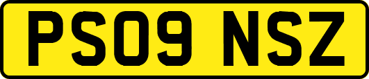 PS09NSZ