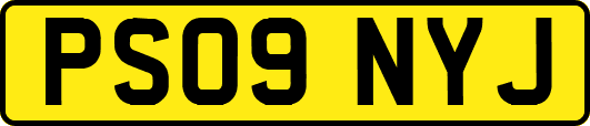PS09NYJ