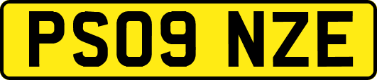 PS09NZE