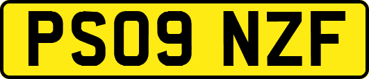 PS09NZF