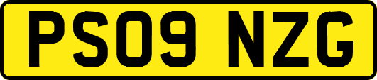 PS09NZG