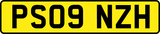 PS09NZH