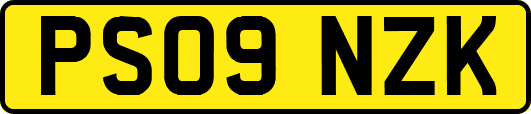 PS09NZK