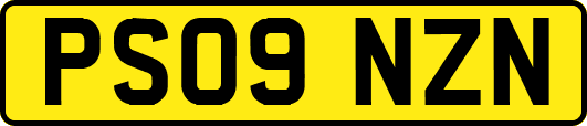 PS09NZN