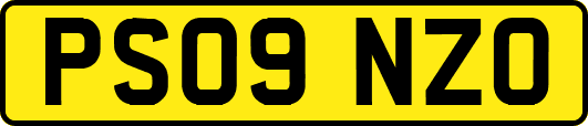 PS09NZO