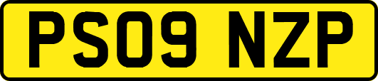 PS09NZP