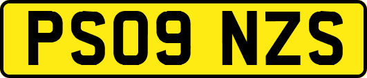 PS09NZS