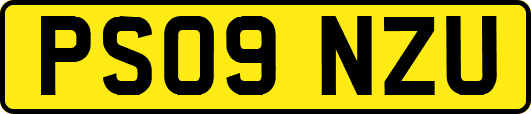 PS09NZU
