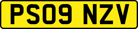 PS09NZV