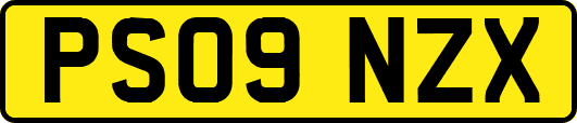 PS09NZX