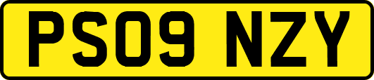 PS09NZY