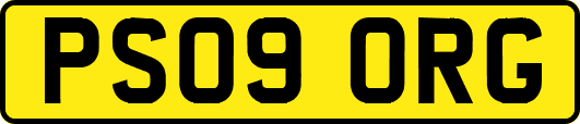 PS09ORG